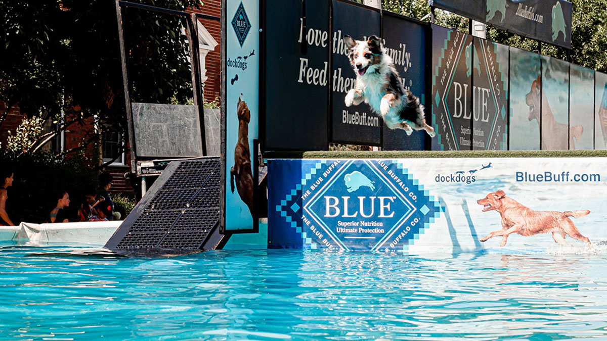 16th Annual Dog Days of Summer Returns to Libertyville